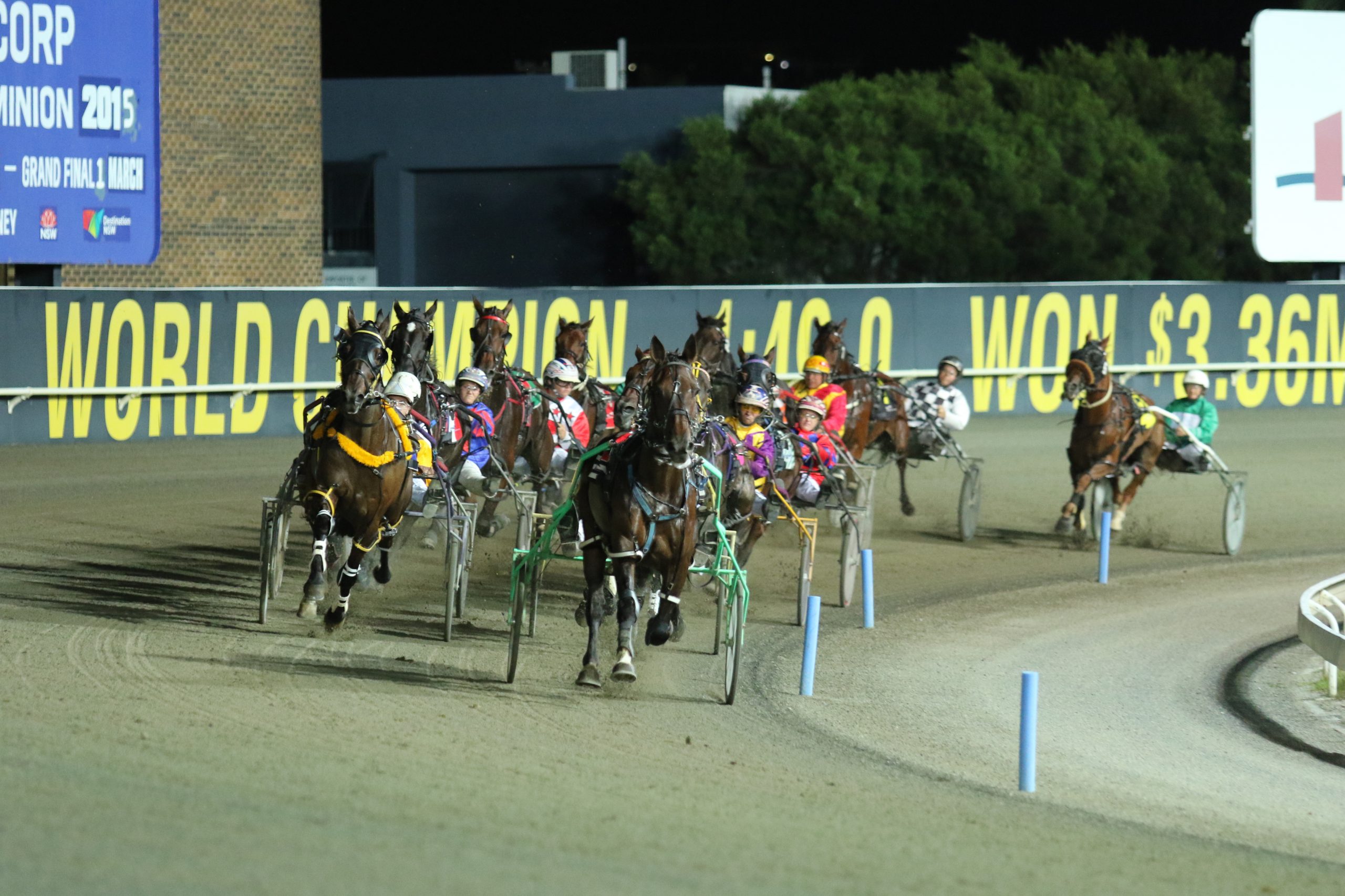 Tuesday racing at Albion Park Harness Racing CLub