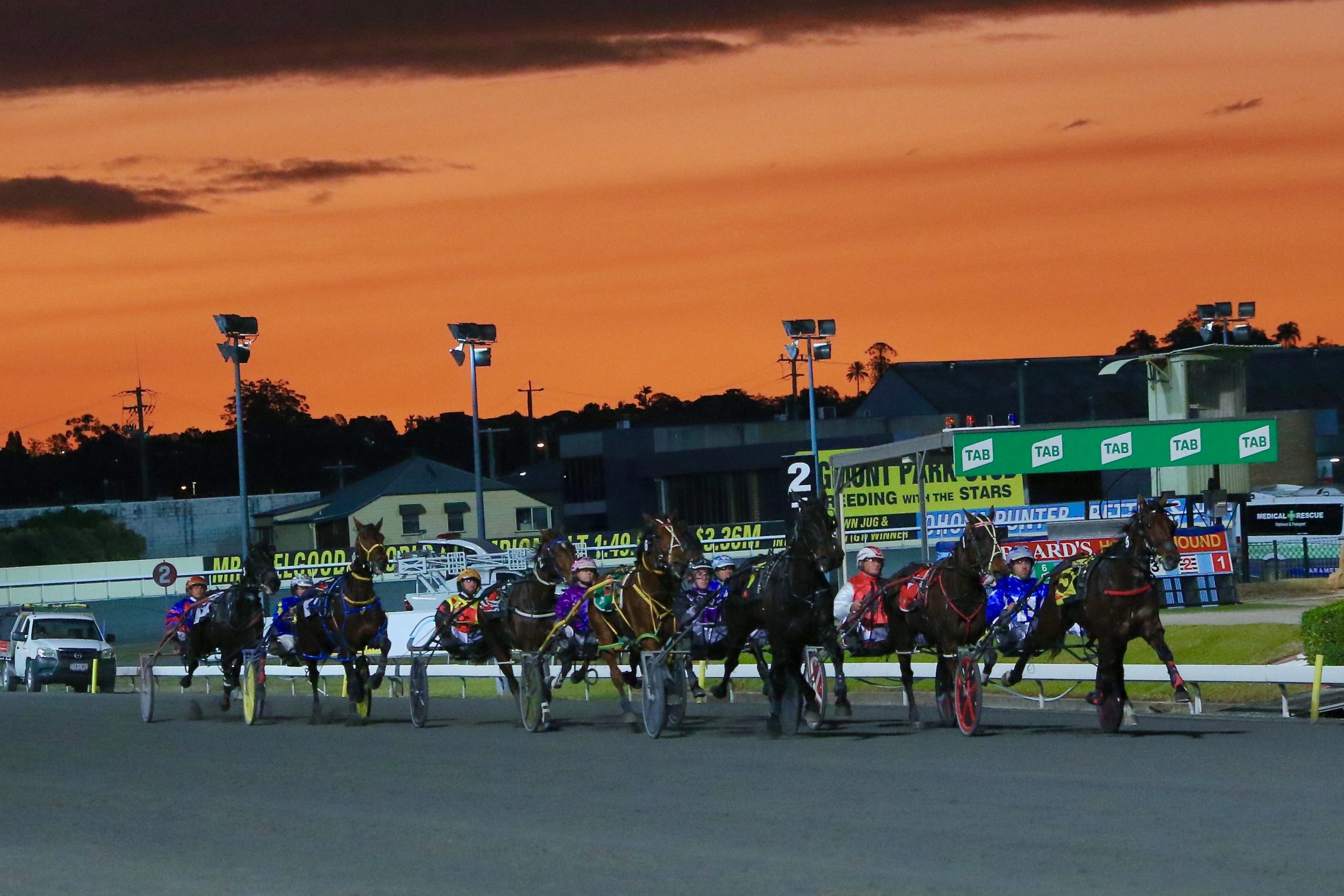 Albion park harness racing track fees