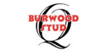 Burwood Stud supporting harness racing
