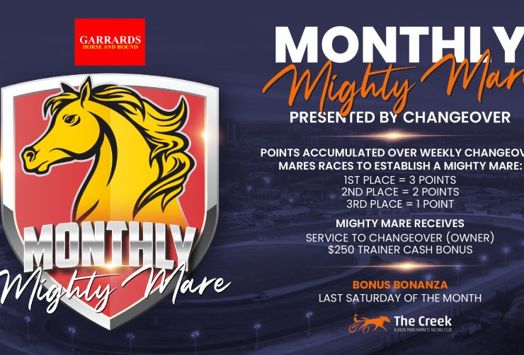 Monthly Mighty Mare
