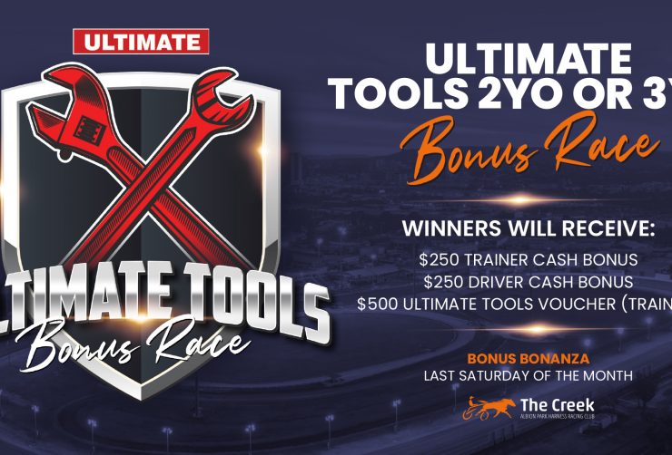 Ultimate Tools Bonus Race